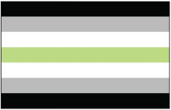 Agender Pride Flag - Aufn�her