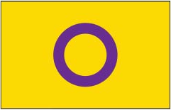 Intersex Pride Flag - Aufn�her