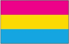 Pansexual Pride Flag - Aufn�her
