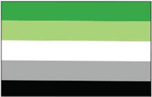 Aromantic Pride Flag - Aufn�her