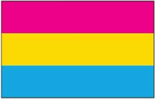 Pansexual Pride Flag - Aufn�her